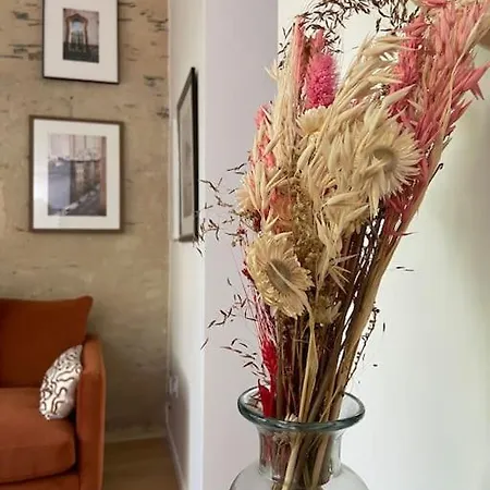 Apartament Tres Bel Avec Jardin Reposant Angers